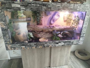 Terrarium zu verkaufen 