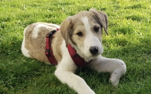 Nana ist bereit für ihre Abenteuer mit dir