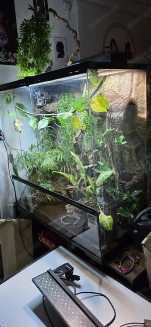 Exo Terra 90x45x90 Terrarium 