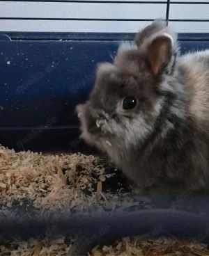 leider müssen wir uns trennen