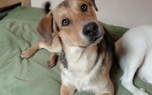 Verliebst du dich in Henry? Bild 3