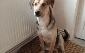 Verliebst du dich in Henry? Bild 2