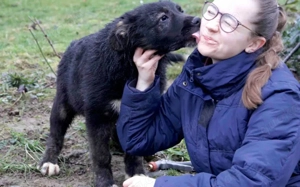 Dori - ausgesetztes Hundekind sucht Geborgenheit
