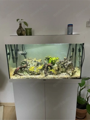 Aquarium abzugeben!