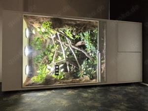 Terrarium 100x60x160 cm mit unterschrank zu verkaufen 