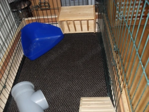 Meerschweinchenkäfig Hasenkäfig   Nagerkäfig mit Auslauf, alles auf Rollen Bild 4