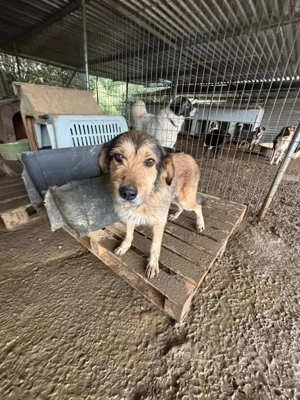 Tilda   ruhig und freundlich