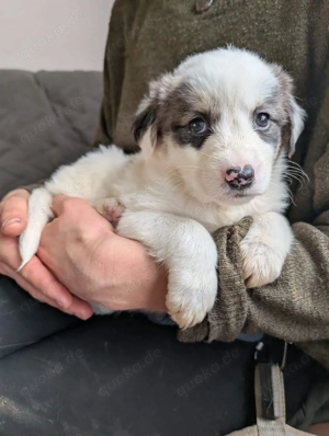 Flora   jung, behütet und in Sicherheit