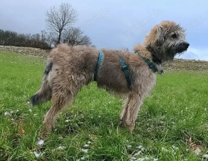 Tucker braucht erfahrene Menschen  Bild 2