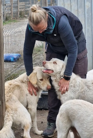 Bom ist freundlich, braucht aber Konsequents Bild 6