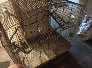 Wellensittich Käfig zu verkaufen 