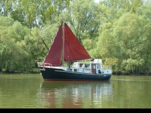 Waalkotter   Motorsegler