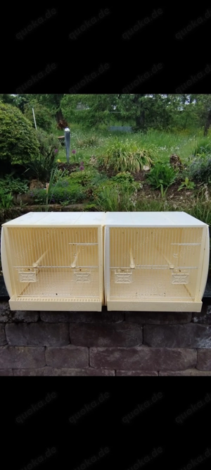 Zuchtboxen 