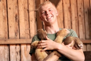 Suche Frettchen Rüden und Fähen