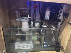 Meerwasser Aquarium Waterbox 90.3 Bild 4