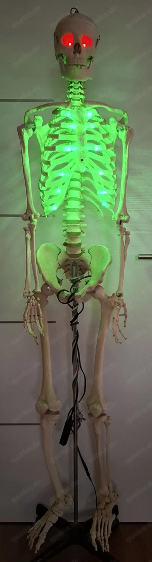 Skelett fahrbahr als Deko