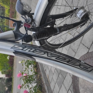 Fahrrad Girls Pegasus 28 Zoll Bild 3