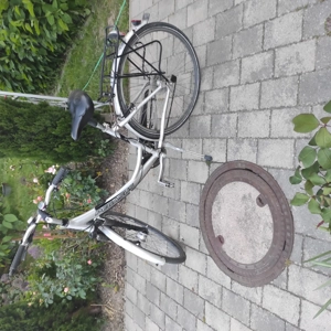 Fahrrad Girls Pegasus 28 Zoll