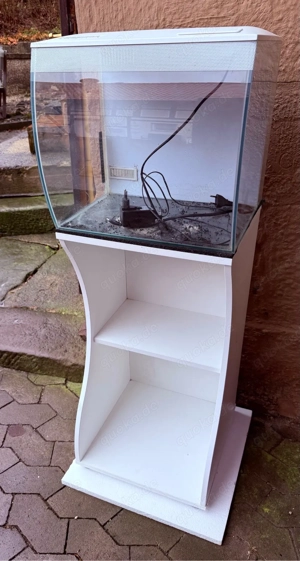 Fluval Flex 57 und 7 Erbsenkugelfische