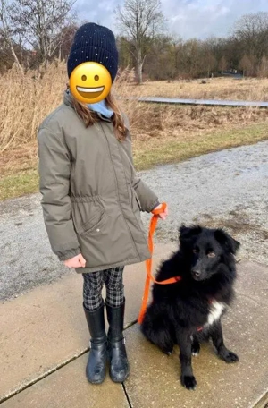 hübscher, lieber, aktiver, verspielter Rüde "Parker" sucht ein schönes Zuhause 