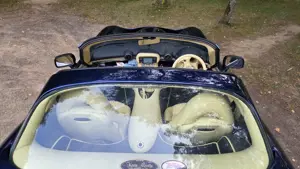 TVR Tuscan MK2 Bild 3