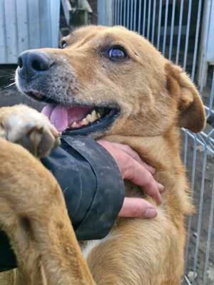 unser Prachtbursche Nanachi Bild 3