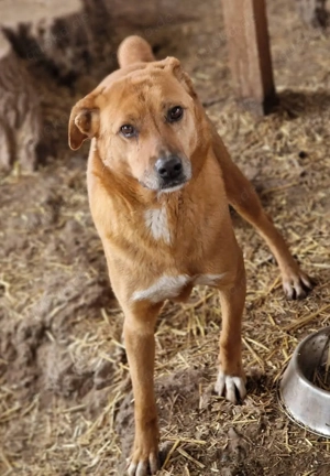 unser Prachtbursche Nanachi Bild 2