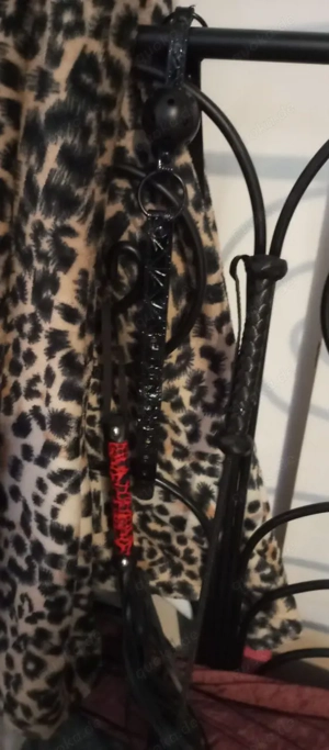 Oralsex, Anal, fesseln ausliefern u. unzählige intensive Orgasmen 