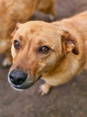 unser Prachtbursche Nanachi