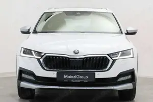 Skoda Octavia Bild 4