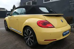 Volkswagen Beetle Bild 4