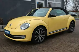 Volkswagen Beetle Bild 3