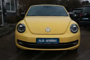 Volkswagen Beetle Bild 2