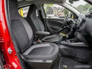 smart forFour EQ EXCLUSIVE LAST ONE Panormadach Bild 5