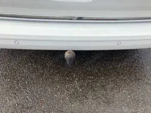 Volkswagen T6 Transporter Bild 5