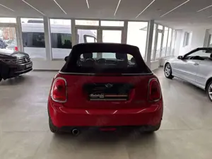 MINI Cooper Cabrio Cooper 1.5 Cabrio Pepper*HarmanKardon*Tempomat* Bild 5