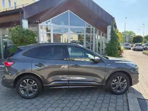 Ford Kuga Hybrid ST-Line X Bild 3