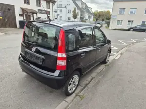 Fiat Panda Bild 3