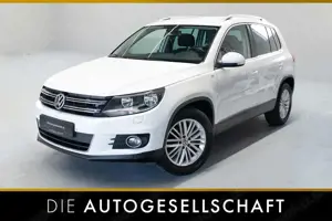 Volkswagen Tiguan 1.4 TSI Cup Sport  Style*NAVI*KAMERA*SHZ*