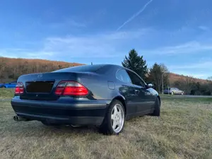 Mercedes-Benz CLK 230 Coupe Kompressor Elegance Bild 5