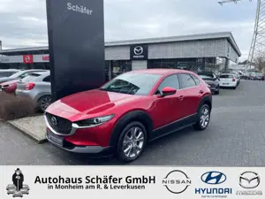 Mazda CX-30 Selection Navi Bose 360 Kamera LED Blendfreies Fer