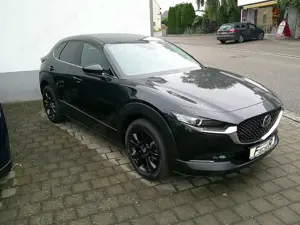 Mazda CX-30 SKYACTIV 140 AT Homura NAVI/HUD/KAMERA Bild 3