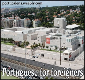  3 Months to Master Portuguese! 