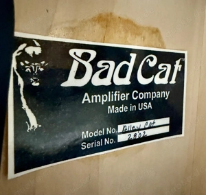 Bad Cat Alley Cat 1x12" Gitarren combo Bild 3