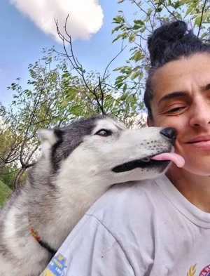 9j Rotkohl Husky Rüde aus Kroatien Bundesweite Ausreise nach Adoption