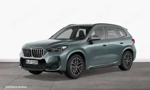 BMW X1 sDrive20i M Sportpaket Head-Up Harman Kardon Drivi