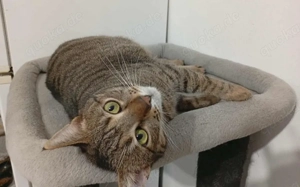 Mylene: Schüchtern aber von Herzen freundlich Bild 2