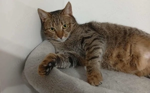 Mylene: Schüchtern aber von Herzen freundlich