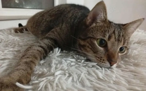 Mylene: Schüchtern aber von Herzen freundlich Bild 3