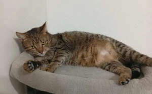 Mylene: Schüchtern aber von Herzen freundlich Bild 5